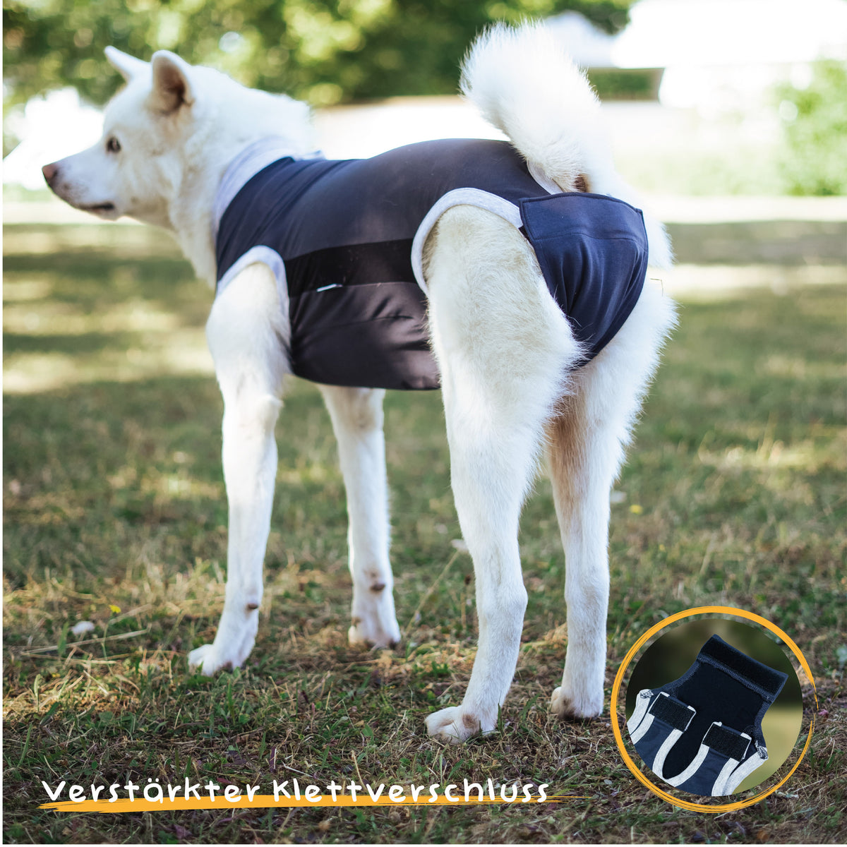 Alpenwau OP Body Medical – Hundebody