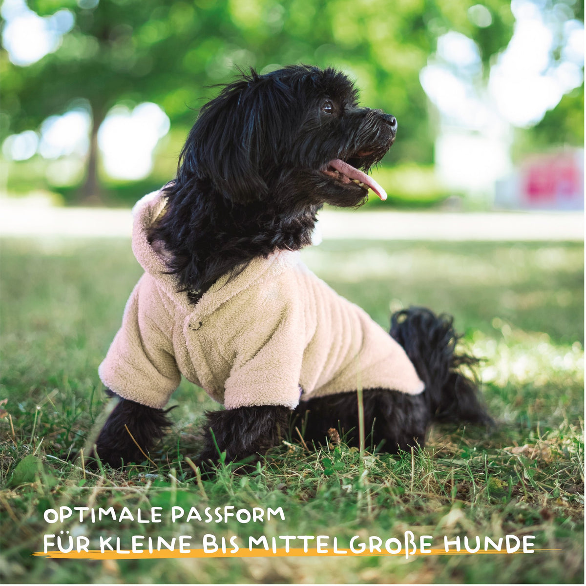 Farbe: Beige