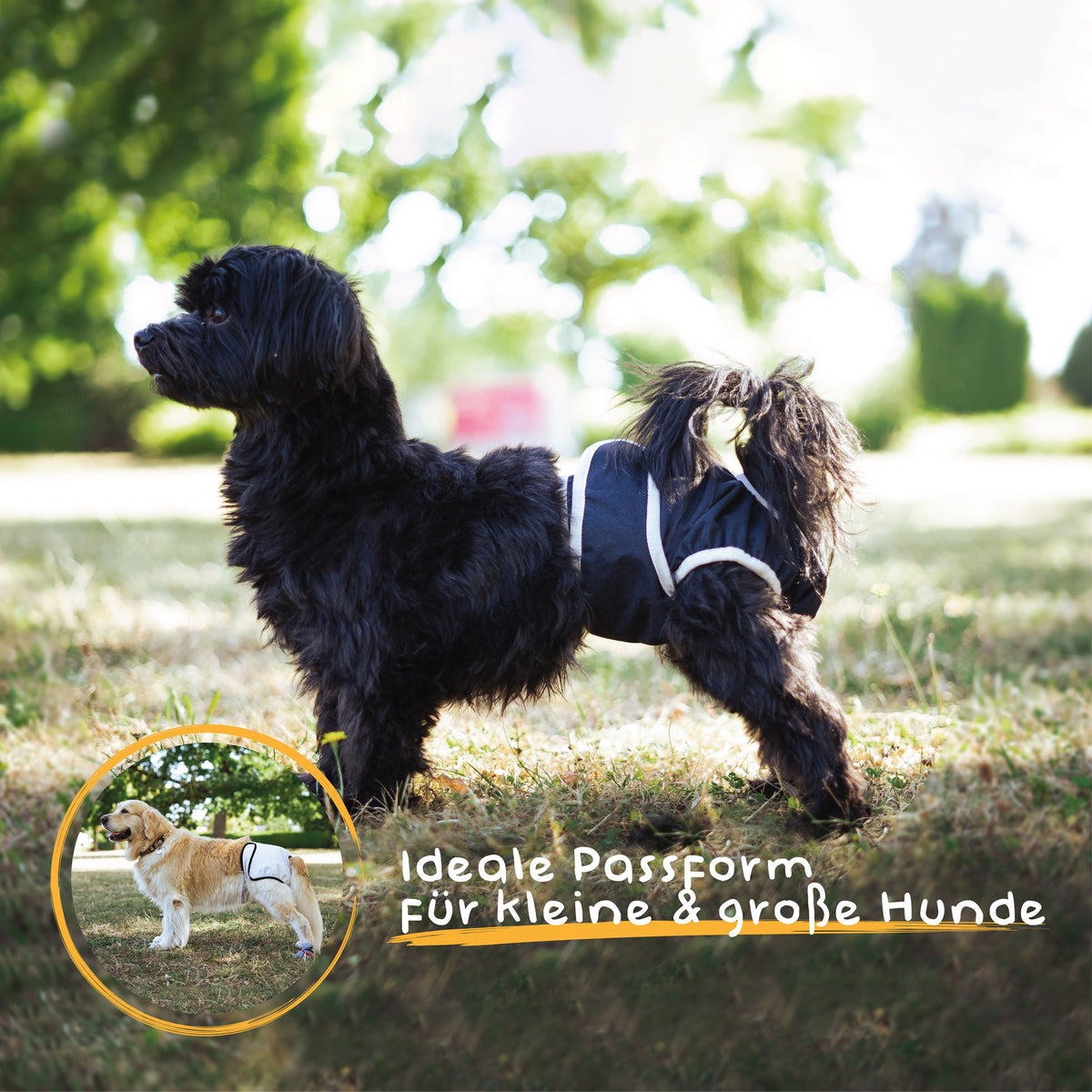 Alpenwau Premium Hundewindeln 3er-Set – Inkontinenz & Läufigkeit