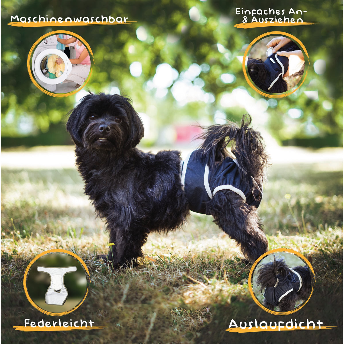 Alpenwau Premium Hundewindeln 3er-Set – Inkontinenz & Läufigkeit