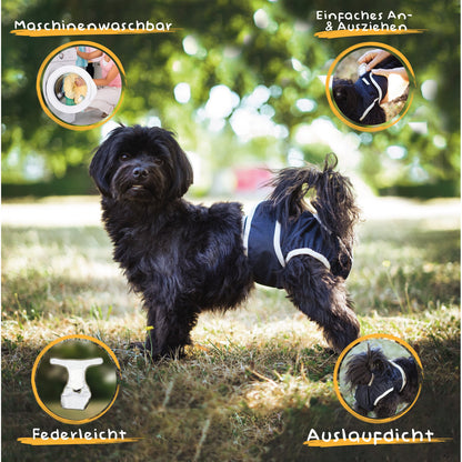 Alpenwau Premium Hundewindeln 3er-Set – Inkontinenz & Läufigkeit