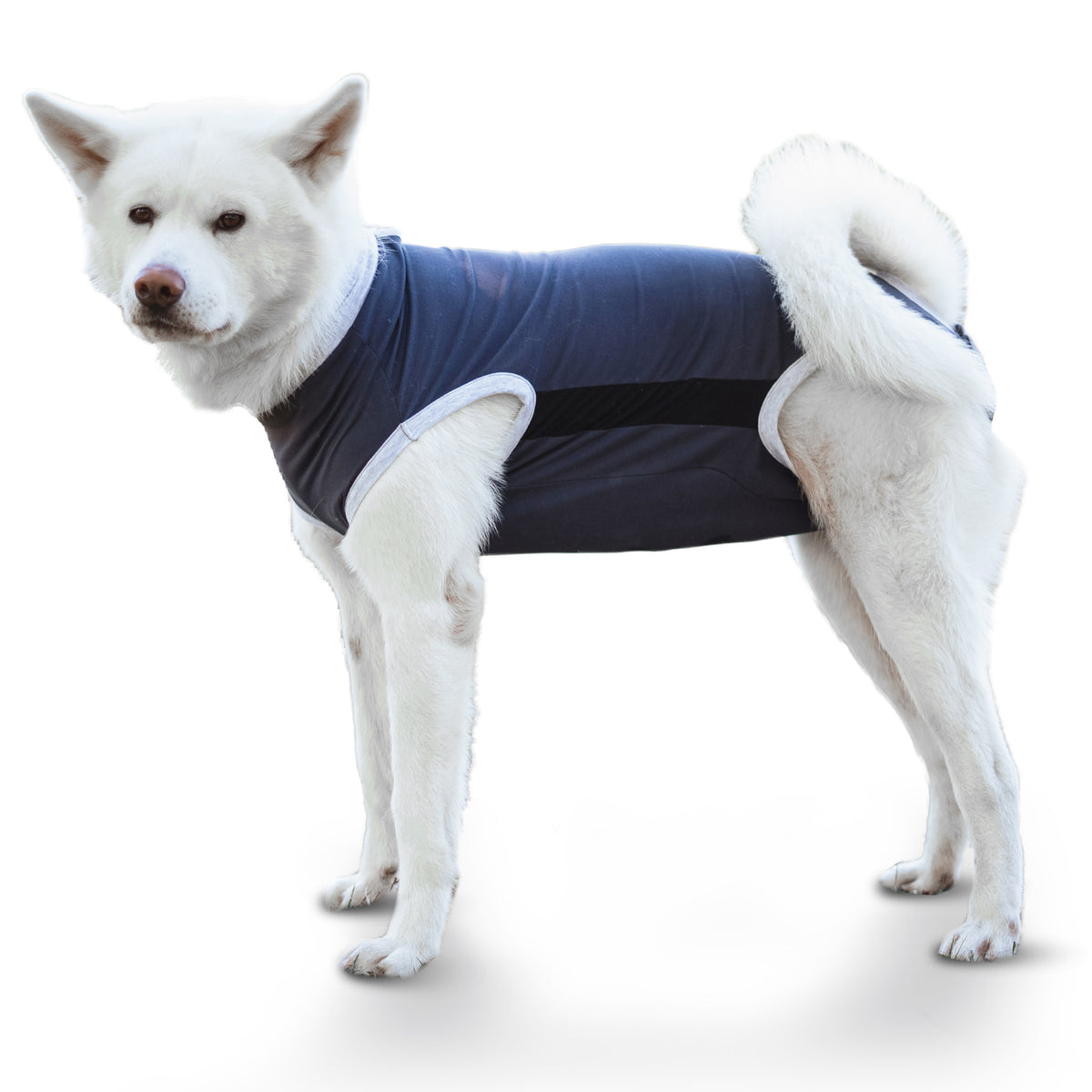 Alpenwau OP Body Medical – Hundebody