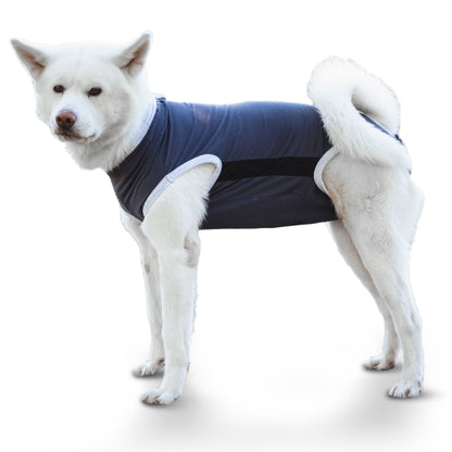 Alpenwau OP Body Medical – Hundebody