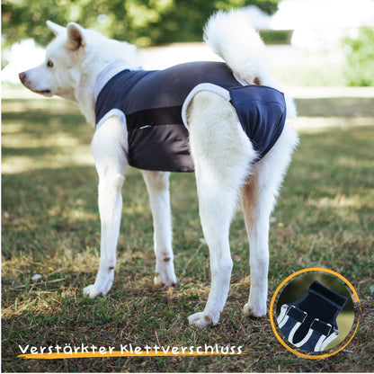 Alpenwau OP Body Medical – Hundebody