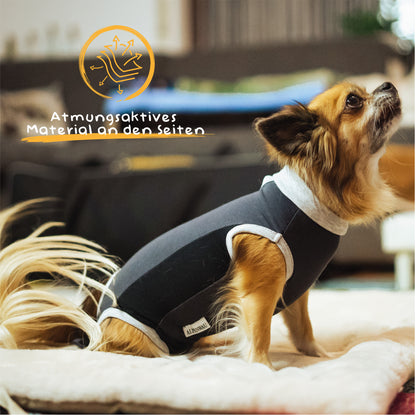 Alpenwau OP Body Medical – Hundebody