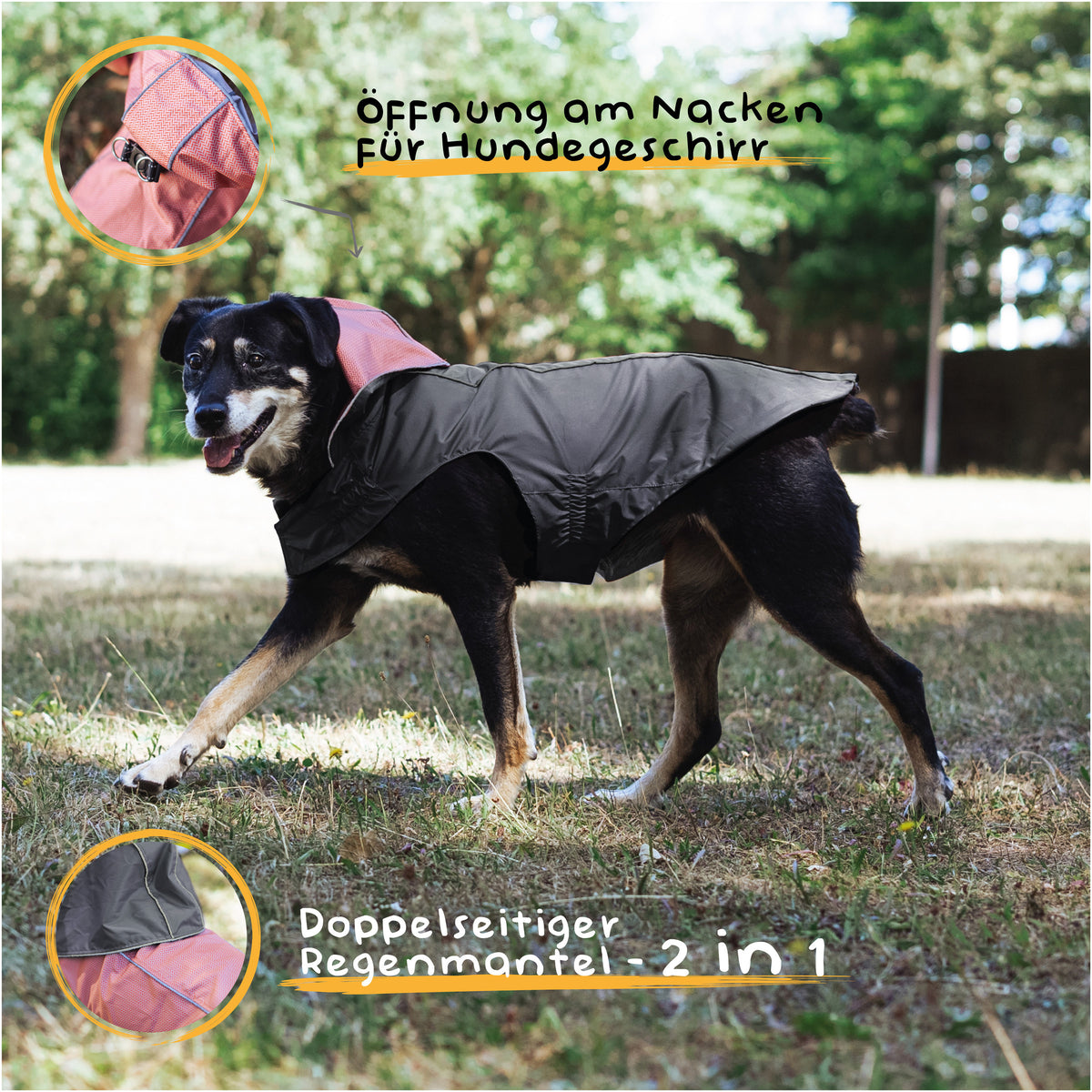 Farbe: Blau